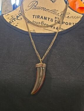 Horn Pendant Necklace with Gold-Tone Chain fe: Dillards